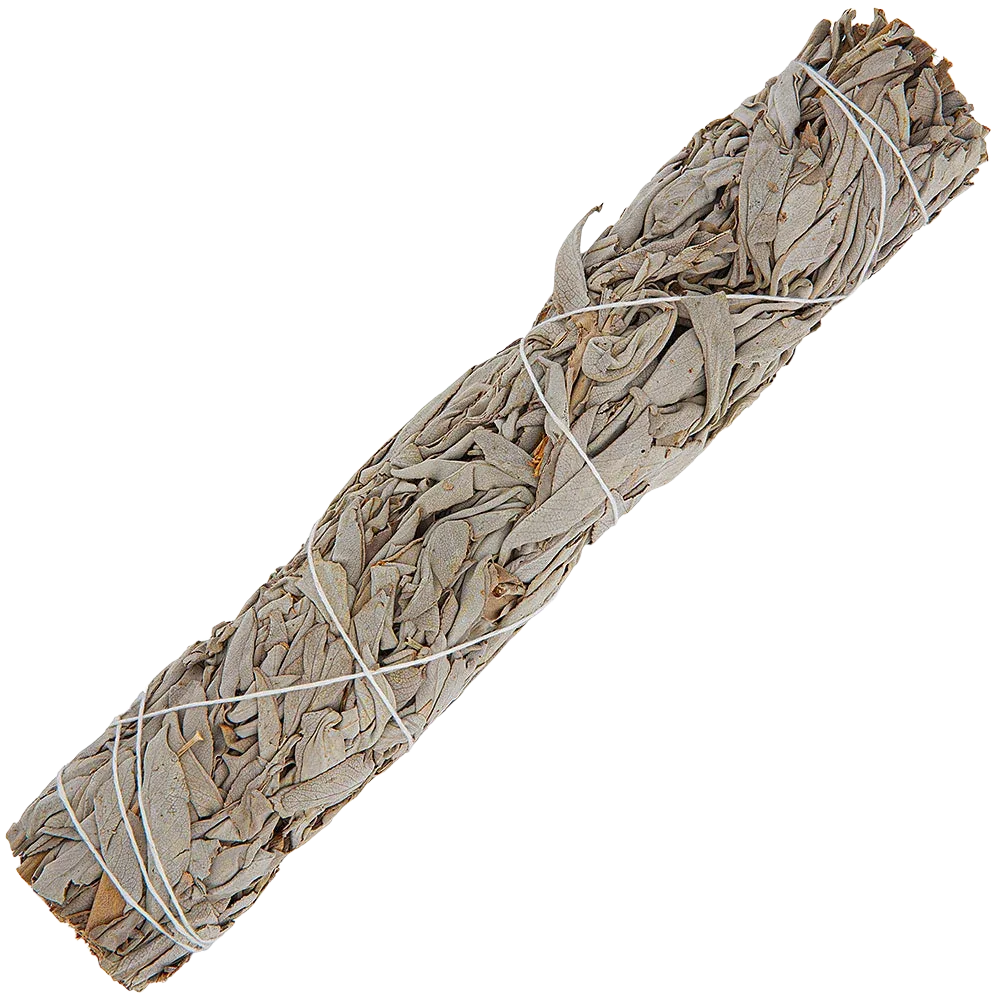 9" Large California White Sage Smudge