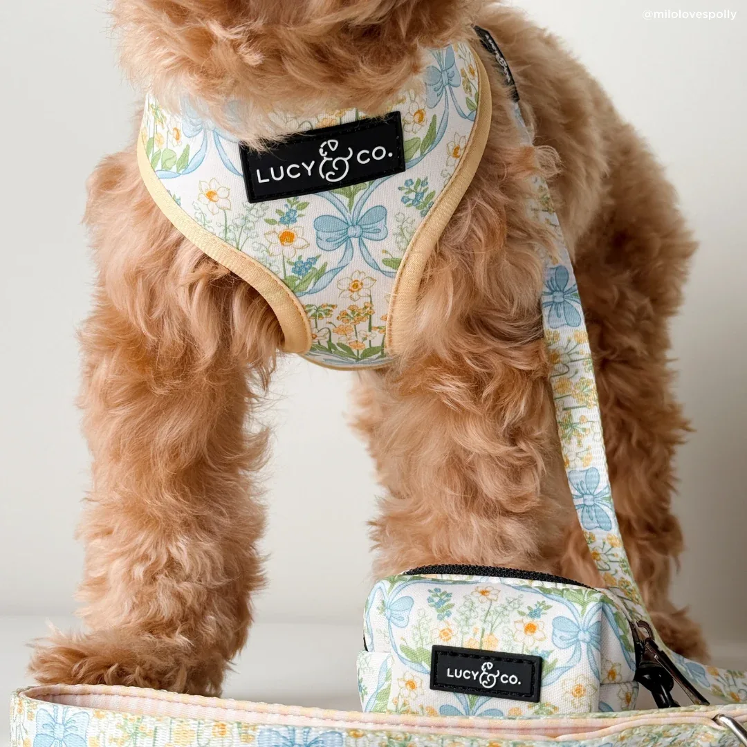 Sunshine and Daffodils Poop Bag Holder - Image 2