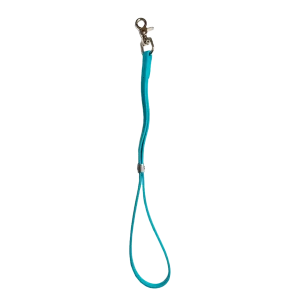 Classic Grooming Loop Teal by Alpha Grooming