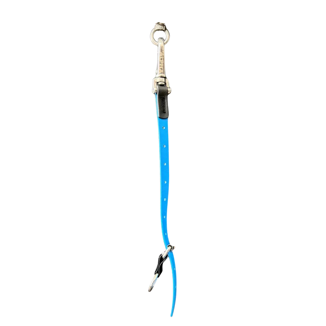 12" Loop Extender Light Blue by Alpha Grooming