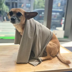 Cooling Dog Towel (24"x36") (FINAL SALE)
