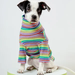 Fabulous Ribbed Dog Pullover