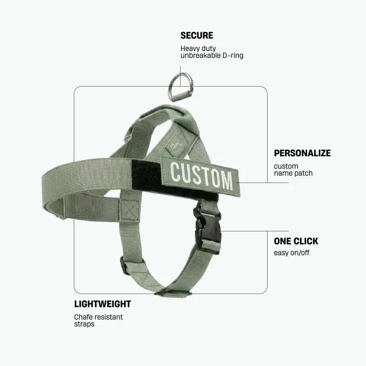 Personalised Dog Harness - Khaki - Image 2