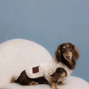 The Pastoris Luxe Faux Fur Dog Vest