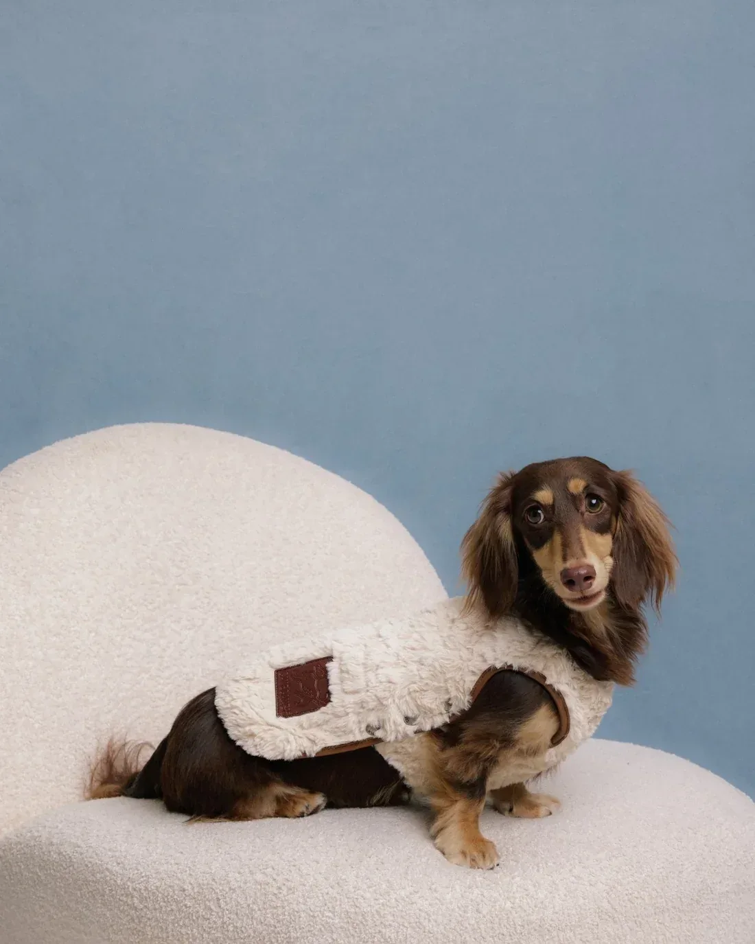 The Pastoris Luxe Faux Fur Dog Vest