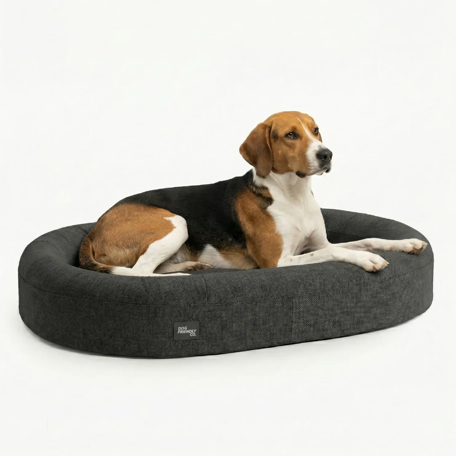 Chill Pill Memory Foam Dog Bed - Charcoal (Medium)