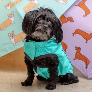 Reversible Waterproof Dog Raincoat in Iridescent + Turquoise