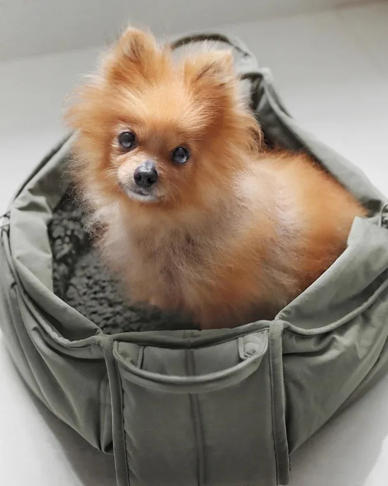 Olla Petite Pet Crossbody Bag (FINAL SALE) - Image 2