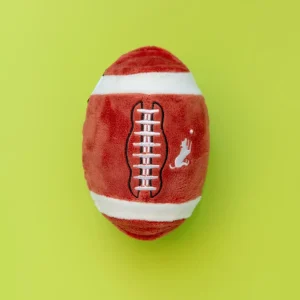 Fido's Football Squeaky Plush Dog Toy