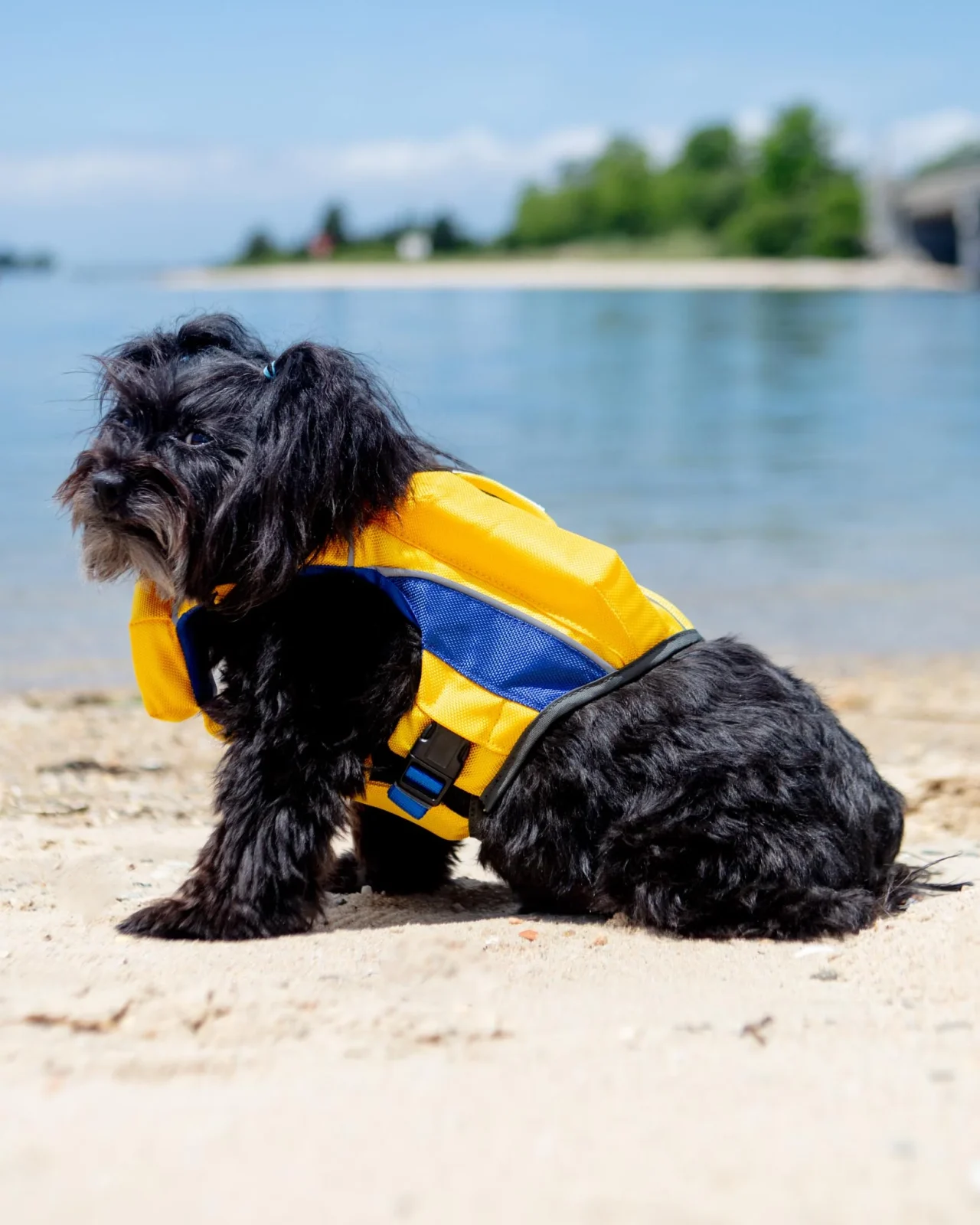 Monterey Bay Dog Life Jacket in Nautical Yellow - Image 2