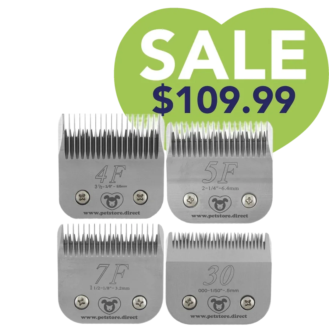 Best-Selling Regular Blades Set of 4 by PetStore.Direct