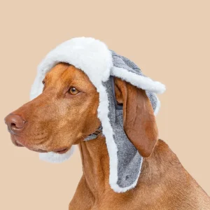Arctic Air Aviator Dog Hat