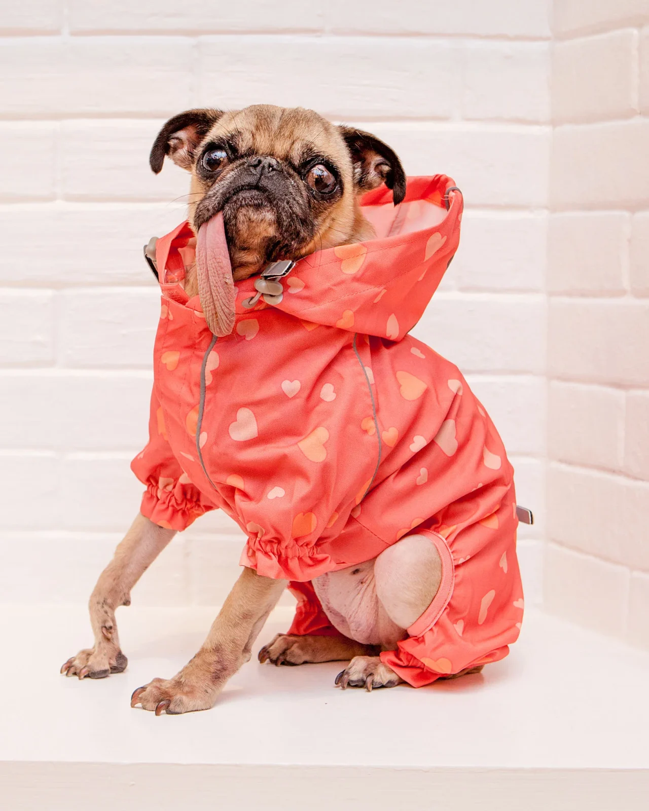 Reflective Dog Rainsuit in Pink Hearts <>
