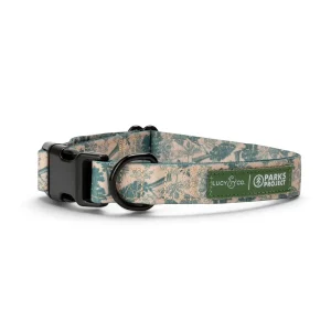 Lucy & Co. x Parks Project Sequoia Seedlings Collar