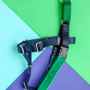 Freedom No-Pull Harness in Navy & Hunter Green (Made in the USA)