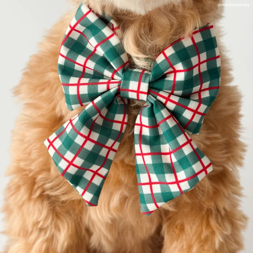 Wrap it Up Bow Tie - Image 2