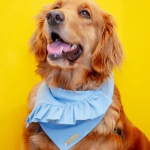 Chambray Ruffle Bandana for Dogs (Made in the USA) (FINAL SALE)