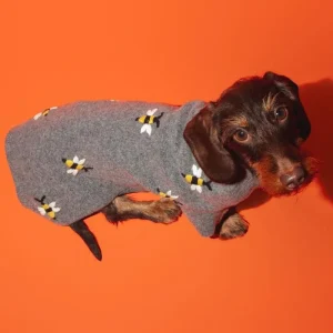 Embroidered Bee Dog Sweater
