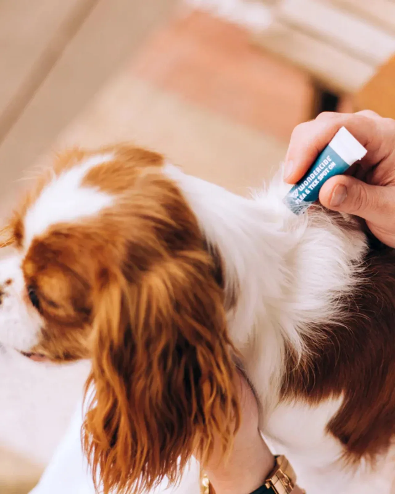 Flea & Tick Spot On for Dogs with Natural Essential Oils - Image 2