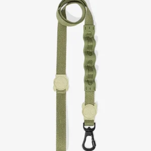 Ruff Leash for Dogs in Moss (FINAL SALE)