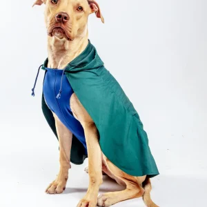 Action Jacket Pull-On Raincoat in Hunter Green & Navy (Made in NYC)