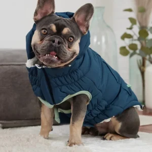 Arctic Dog Parka in Wintergreen (FINAL SALE)