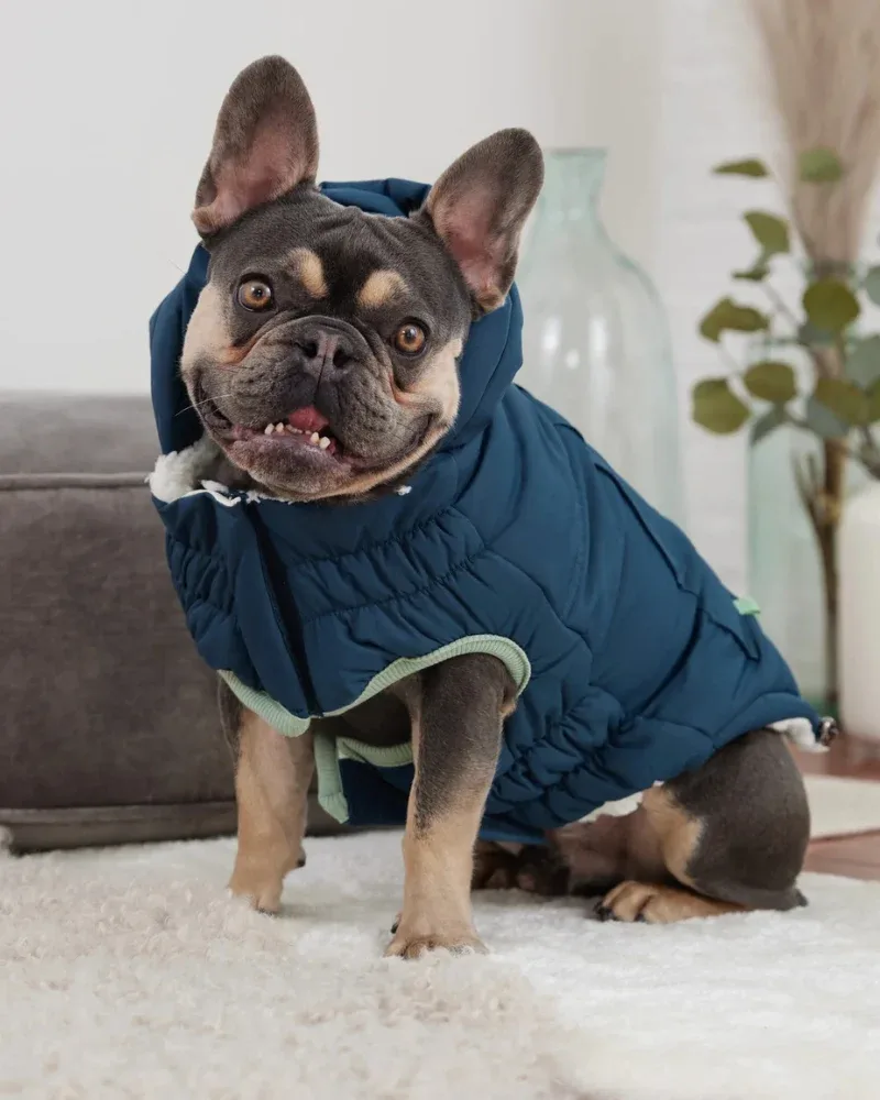 Arctic Dog Parka in Wintergreen (FINAL SALE)