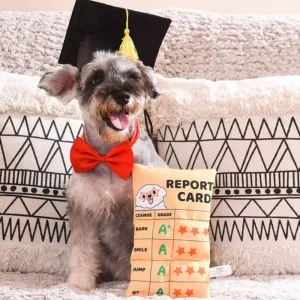 Report Card Plush Squeaky Dog Toy (FINAL SALE)