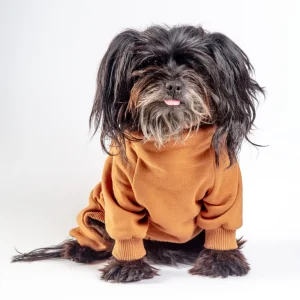 Sweatsuit Onesie for Dogs in Camel (FINAL SALE)