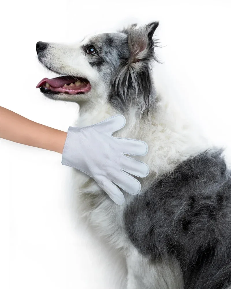 Pet Glove Wipes - Image 2