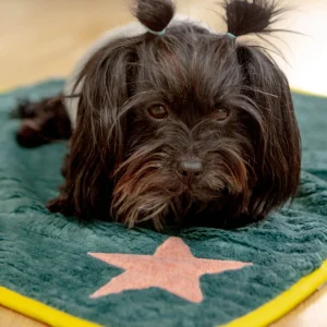 Star Plush Dog Blanket in Green w/ Yellow Trim (Made in Spain)