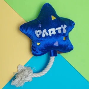 Best Day Ever Balloon Squeaker Dog Toy