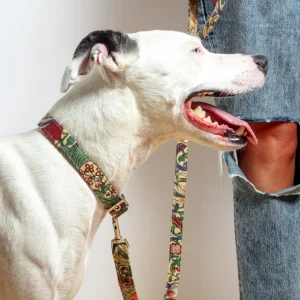 William Morris Golden Lily Print Dog Lead (FINAL SALE)