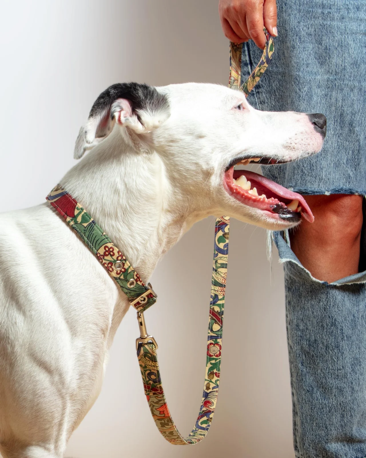 William Morris Golden Lily Print Dog Lead (FINAL SALE)