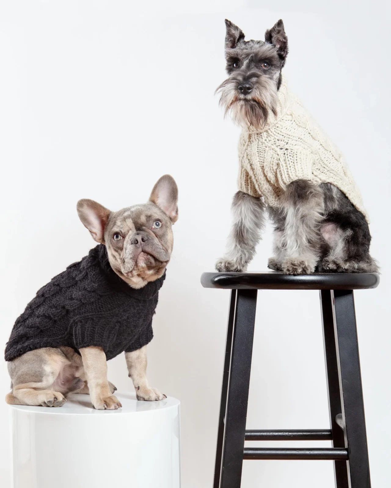 Downtown Roll Neck Dog Sweater in Black (FINAL SALE) - Image 2