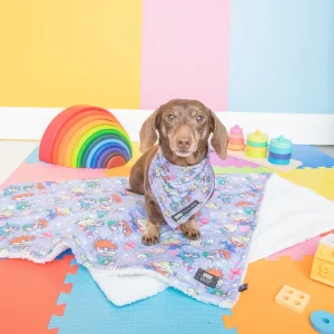 Pet Blanket - Nickelodeon Rugrats™