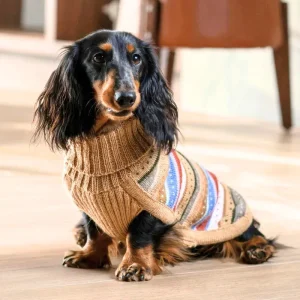 Earthy Stripes Alpaca Dog Sweater
