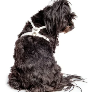 Italian Leather Dog Harness in Ultra White (FINAL SALE)