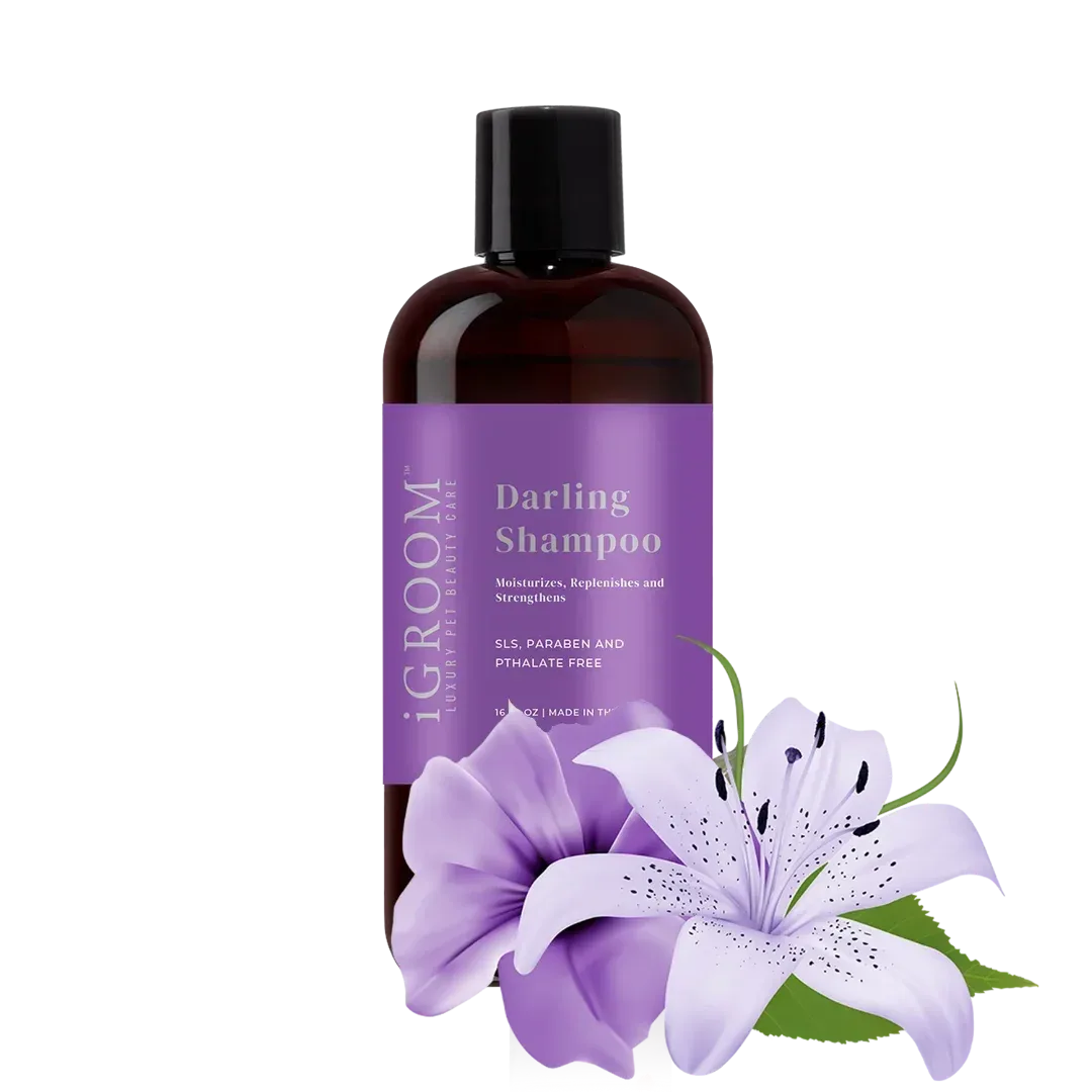 Darling Shampoo 16oz by iGroom - Image 2