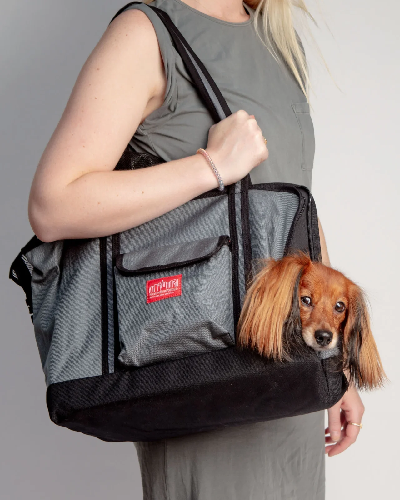 Open or Closed Pet Tote Bag in Grey (Small)