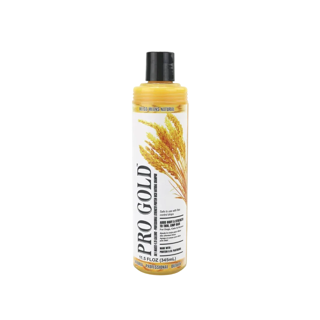 Pro Gold 50:1 Shampoo 11oz by Kelco
