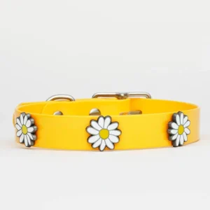 The Daisy Hydro Dog Collar (Made in Canada)