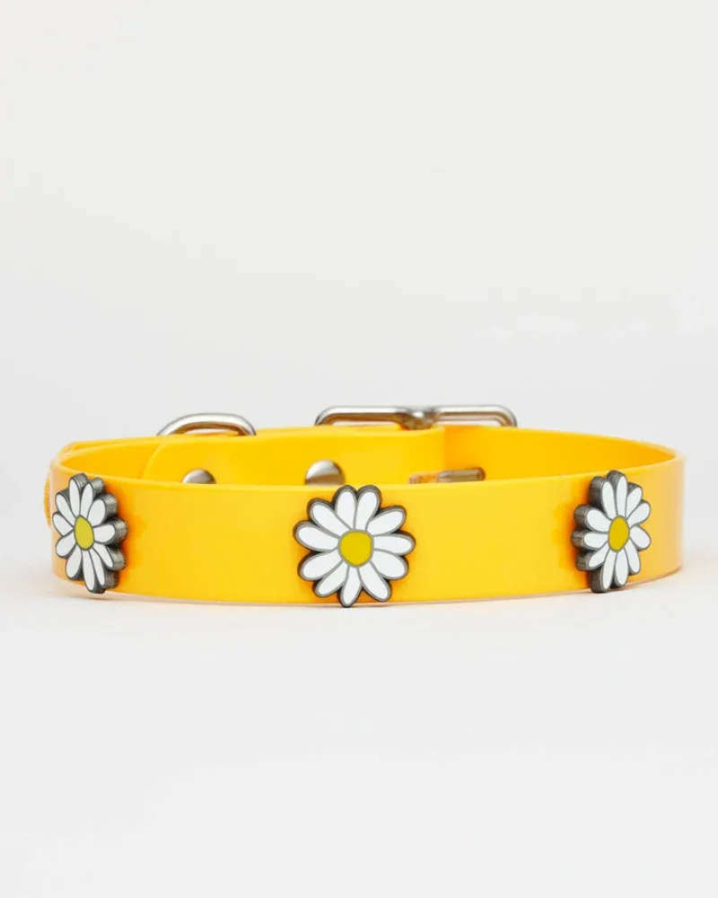 The Daisy Hydro Dog Collar (Made in Canada)