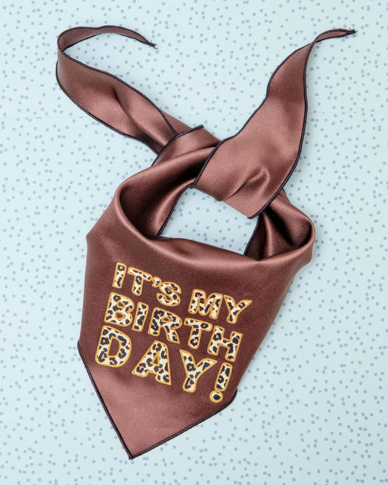 It’s My Birthday Leopard Dog Bandana (FINAL SALE)