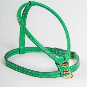 Italian Leather Dog Harness in Green (FINAL SALE)
