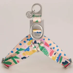 Gaston Step-In Dog Harness (CLEARANCE)