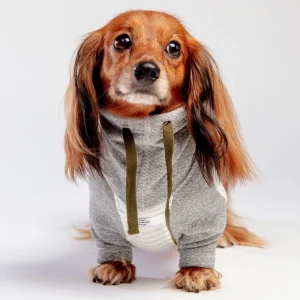 Oxford Stripe Dog Funnel Neck Pullover((CLEARANCE)