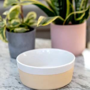 Textured Dipper Ceramic Dog Bowl in White (FINAL SALE)