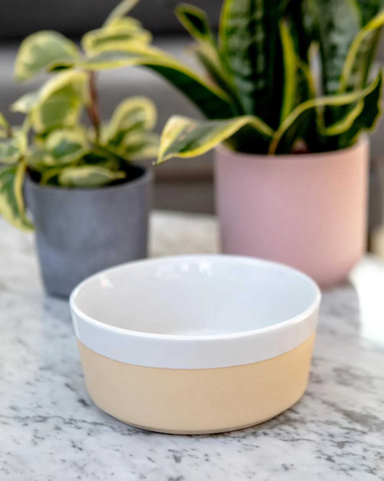 Textured Dipper Ceramic Dog Bowl in White (FINAL SALE)