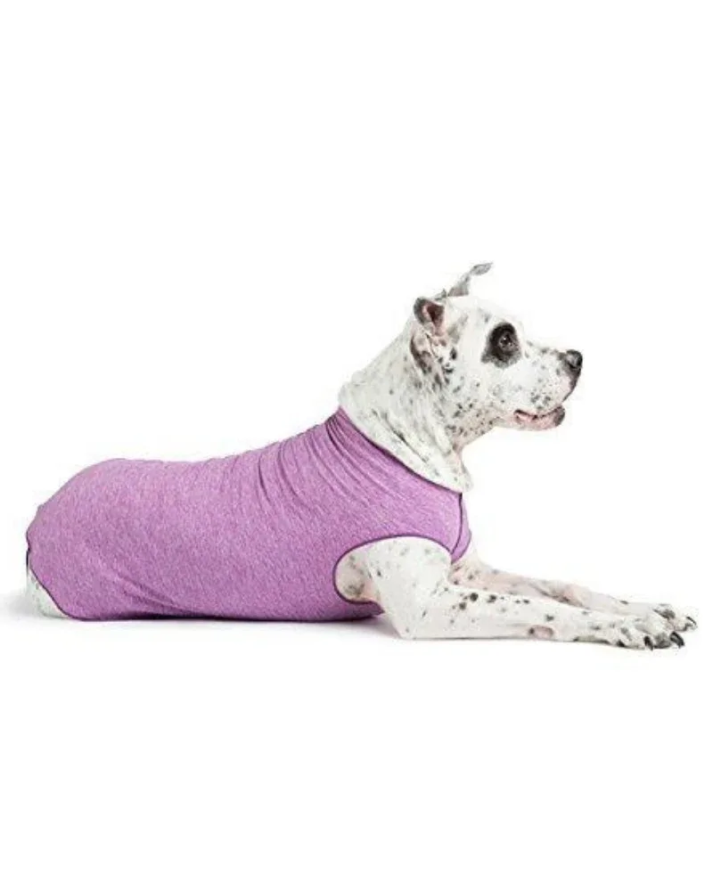 Sun Shield Dog Tee in Violet (Made in the USA) <> - Image 2